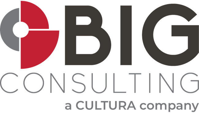 BIG Consulting